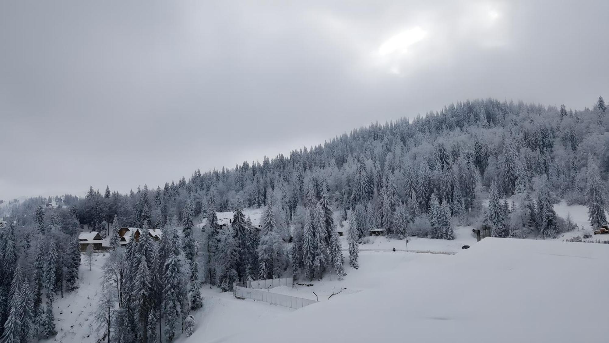 Apartments B229 & B230 In Aparthotel Vucko, Jahorina -Private Host Exterior photo